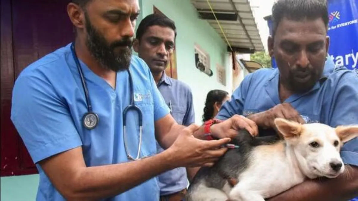 देश में आवारा कुत्तों की संख्या, टीकाकरण को लेकर सरकार की रणनीति और वर्तमान स्थिति