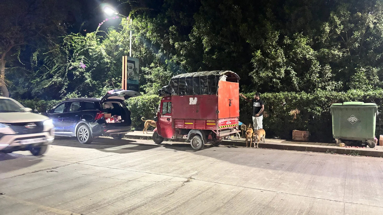 Pedestrian Pathway Feeding of Stray Dogs Sparks Conflict at Lodha Belmondo Society, Pune