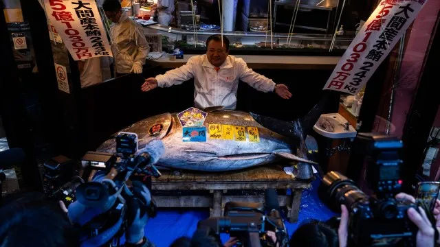 Japan’s Bluefin Tuna Sells for Record ₹28 Crore at Tokyo Fish Market.