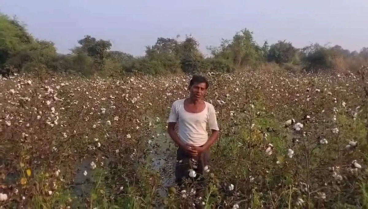 गोसेखुर्द बांध का जलस्तर अचानक बढ़ाने से किसानों की फसल बर्बाद, प्रशासन की लापरवाही उजागर