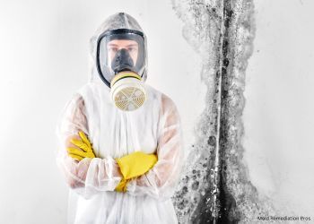 Mold Removal Company in Temple Hills, MD