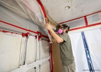 Mold Removal Company in Addison, VT