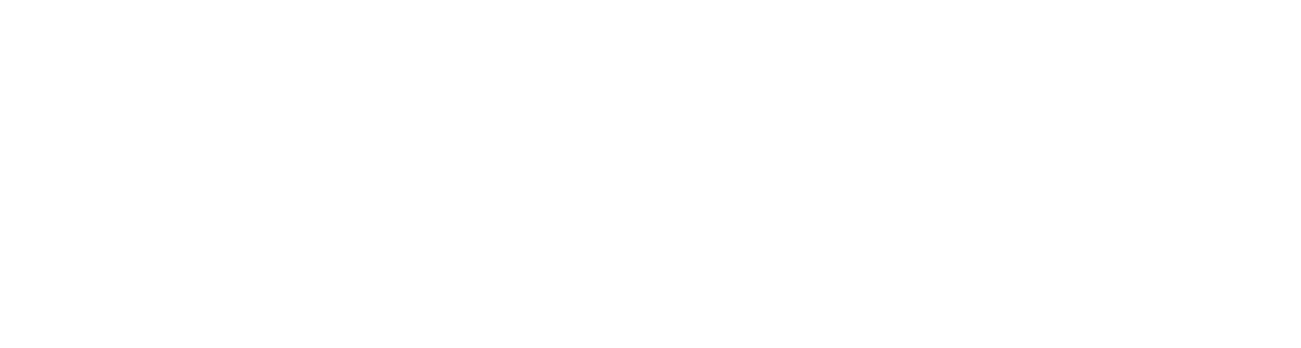 The white Netflix logo text on a dark grey background.