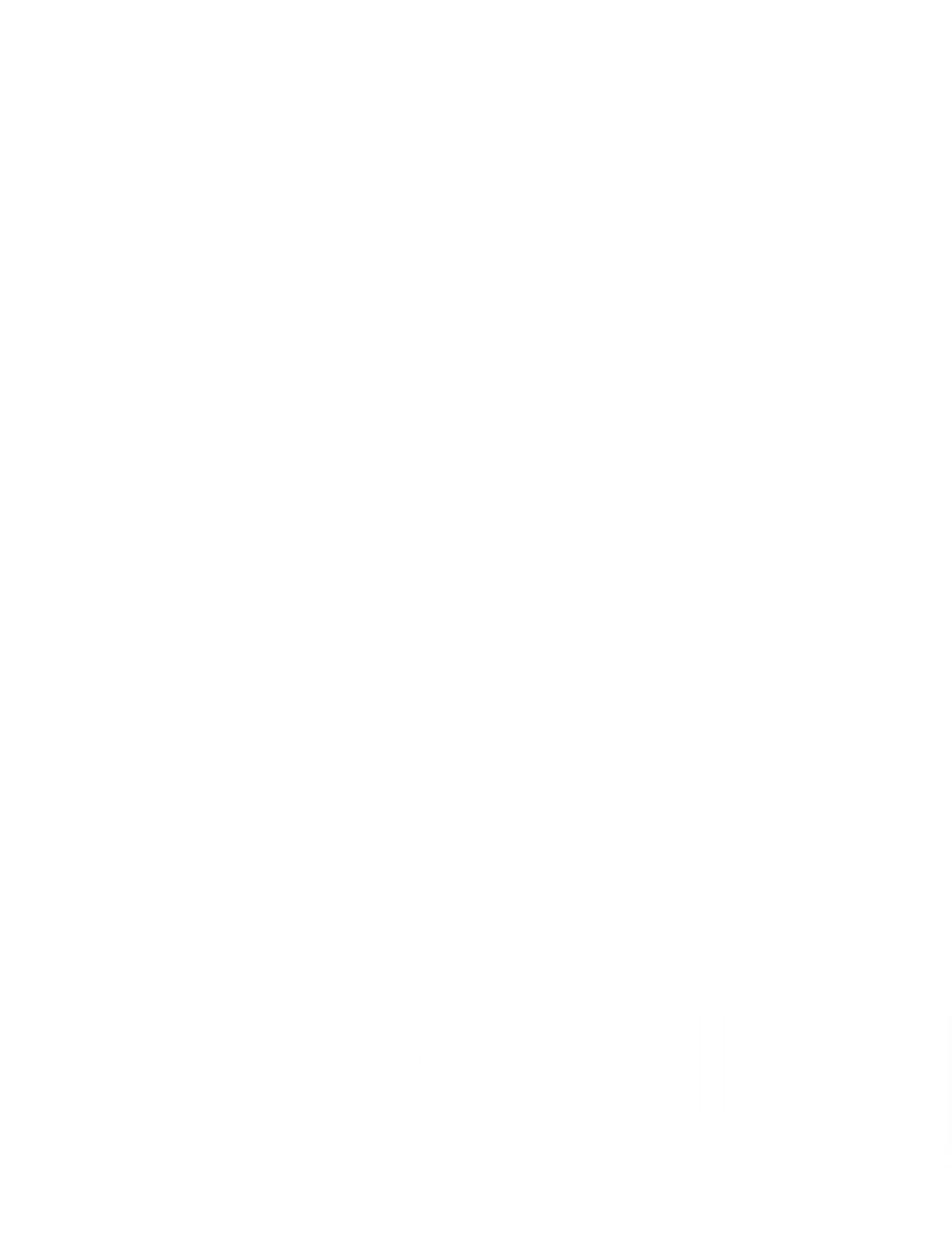 White Star Vijay television channel logo with Tamil script on a dark background.