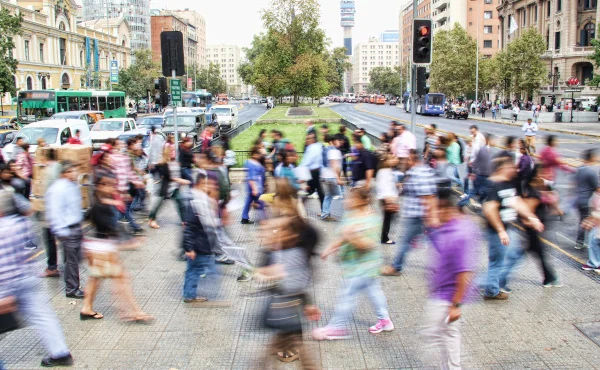 ANWF: A Model for the Future