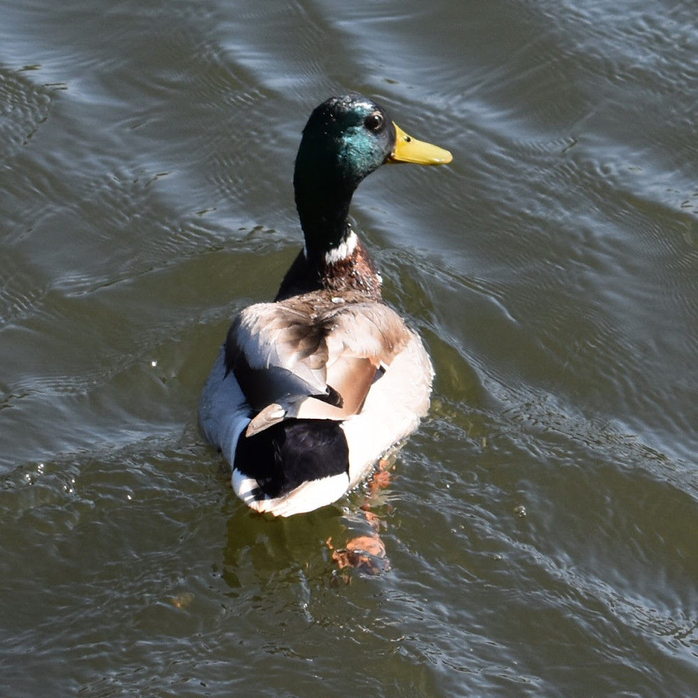 9d531381-d7f6-4699-be43-d97d9ef9d85c
