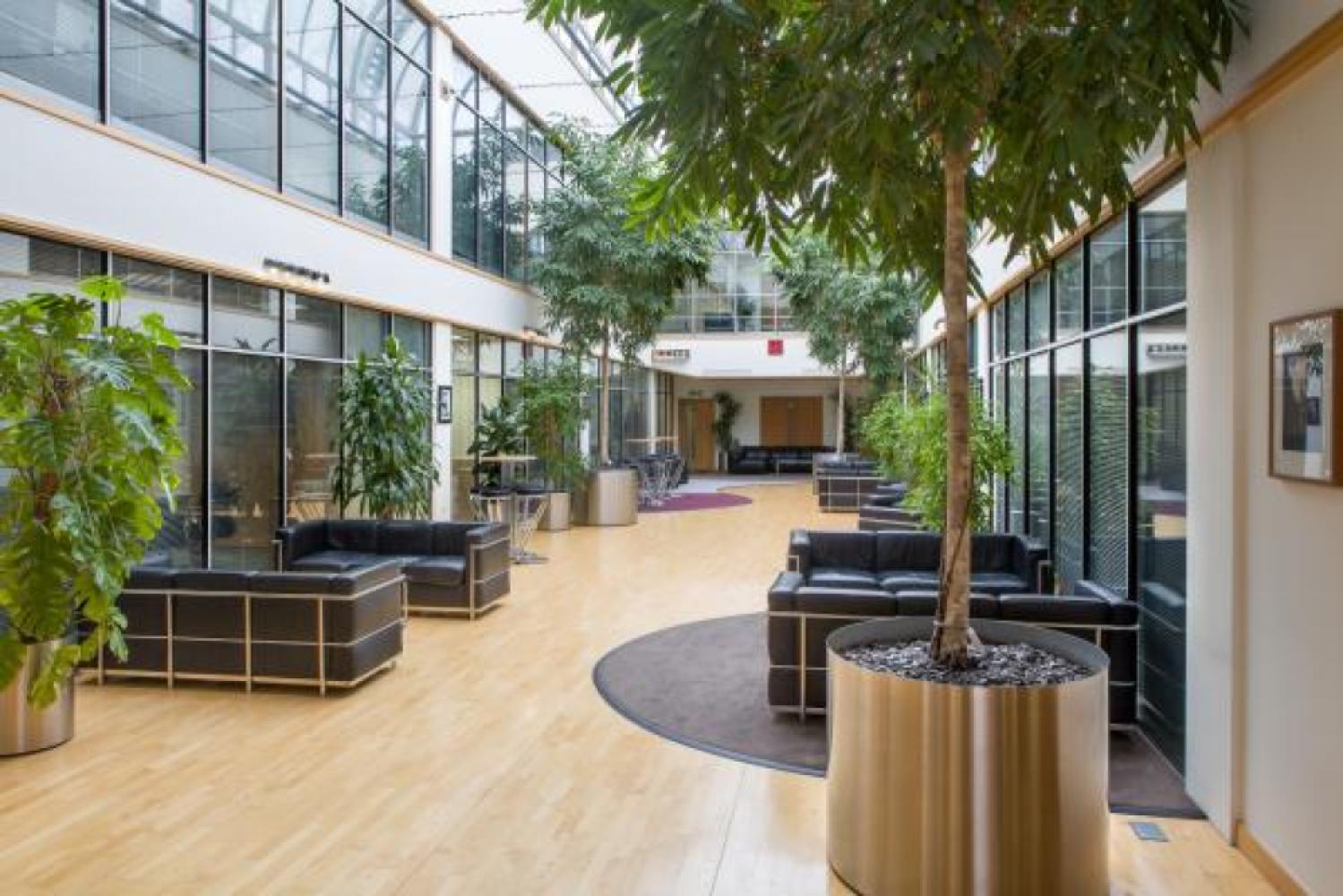 d9df6b7d-2347-466d-9701-2ab6ca39c8e2_atrium