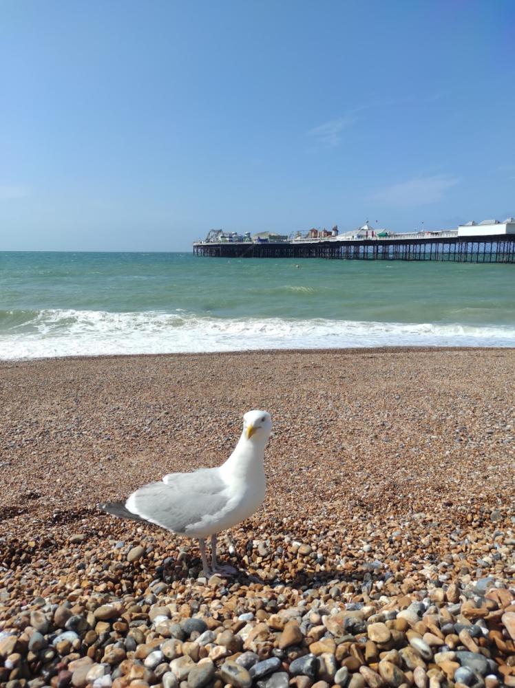 74f6f464-db85-4a2b-bb8d-b23f907269d3