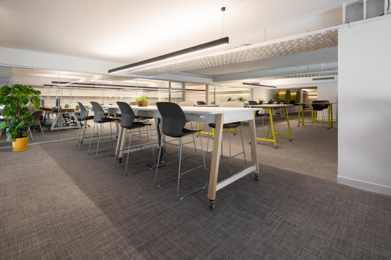 4973caf5-1004-4bd3-bcfd-17b0df4d11c1_rossio_i_flexdesks_fixeddesks_openspace