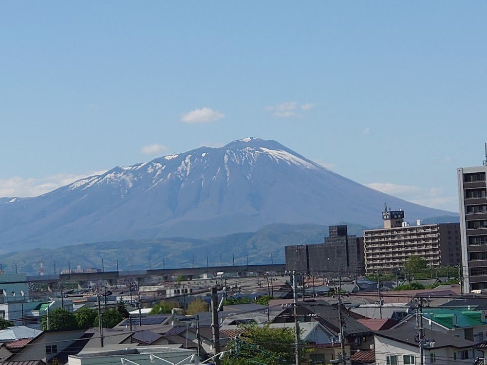 9d537c85-0e74-4591-b78f-cbec4c92c65b