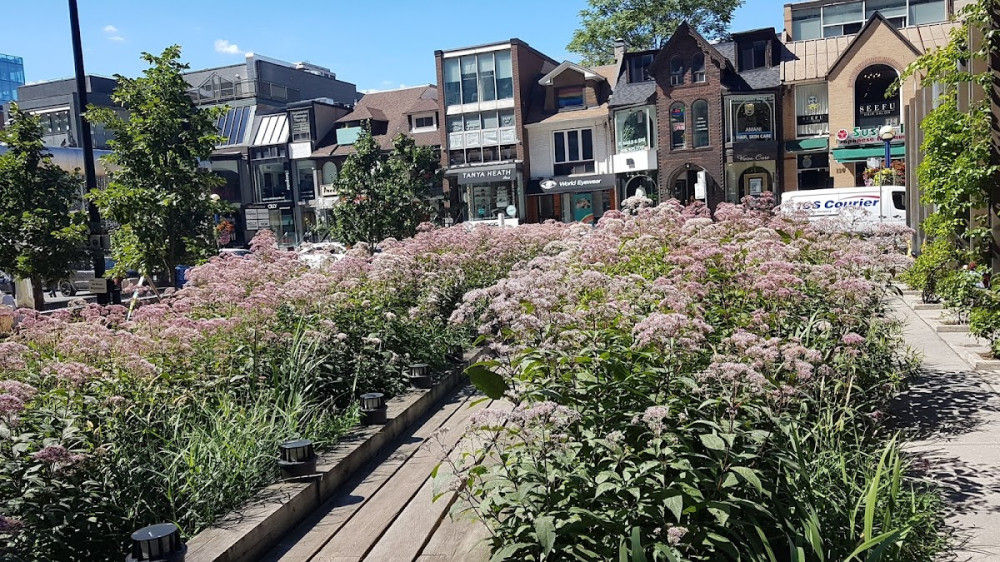 9d538b67-4f13-40f7-9541-36bbb617121e
