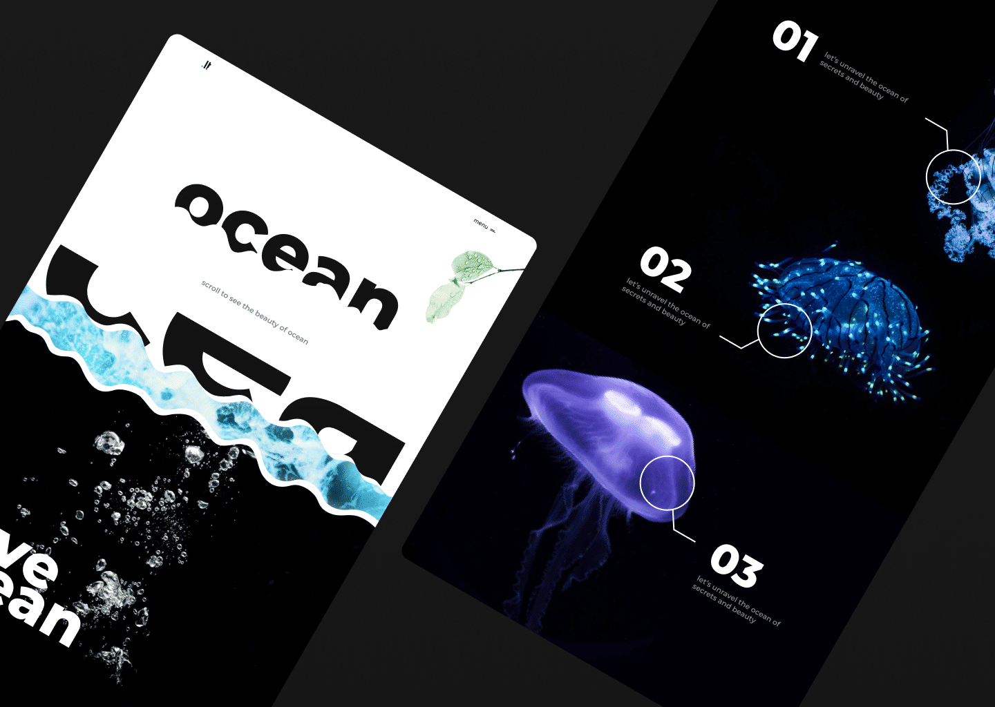 Ocean- Branding and Website Development