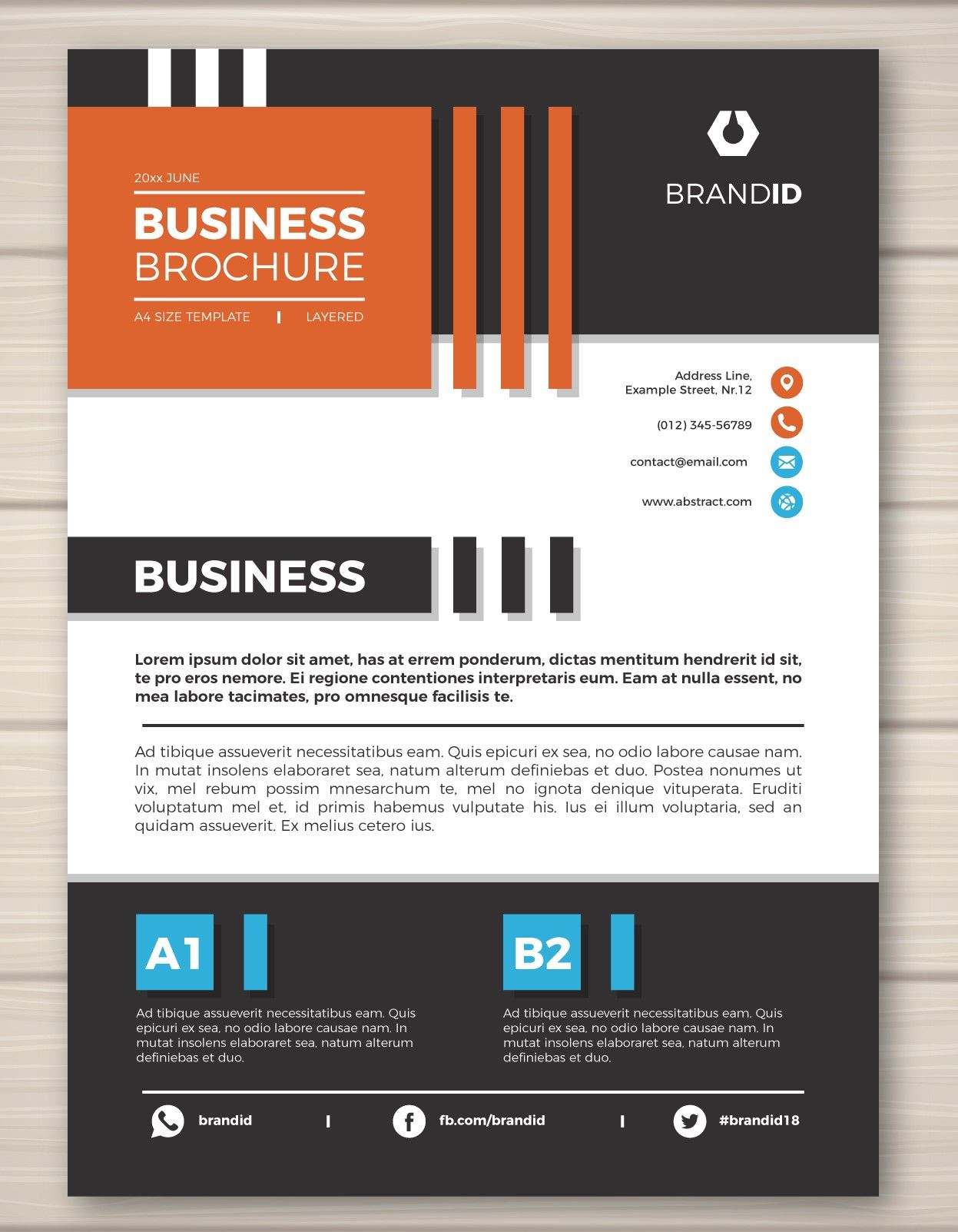 Document branding project example 1