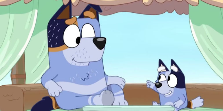 Why Socks Doesn't Talk In Bluey