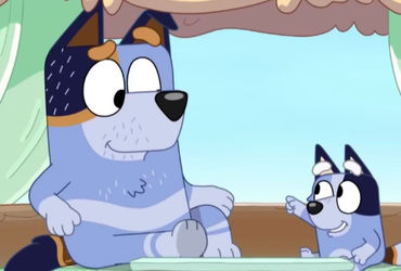 Why Socks Doesn't Talk In Bluey