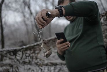 The Surprising Infestation: Rats, Mice, and the Frontlines of Ukraine's War