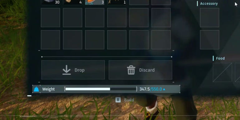 Palworld: the Weight stat