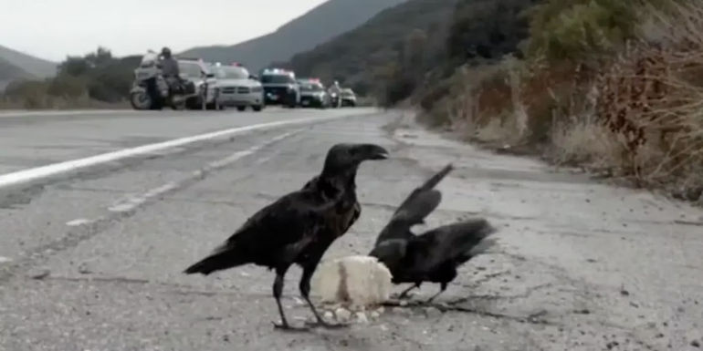 The final shot in Sons of Anarchy