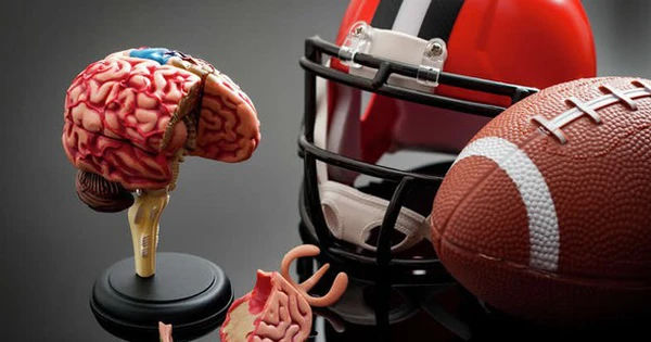 Bệnh Não Chấn Thương Mạn Tính và Nguy Cơ Từ Các Môn Thể Thao