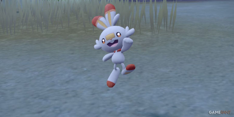 pokemon scarlet violet indigo disk scorbunny