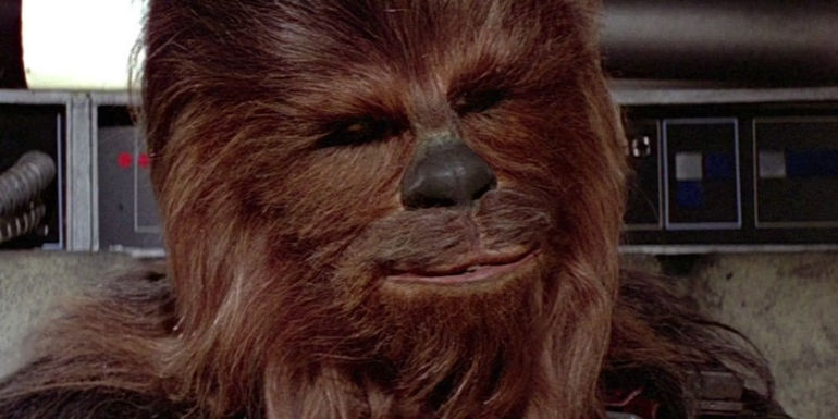 Chewbacca from Star Wars' original trilogy. 