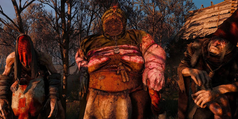 The Ladies of the Wood, or Crones, in The Witcher 3: Wild Hunt.
