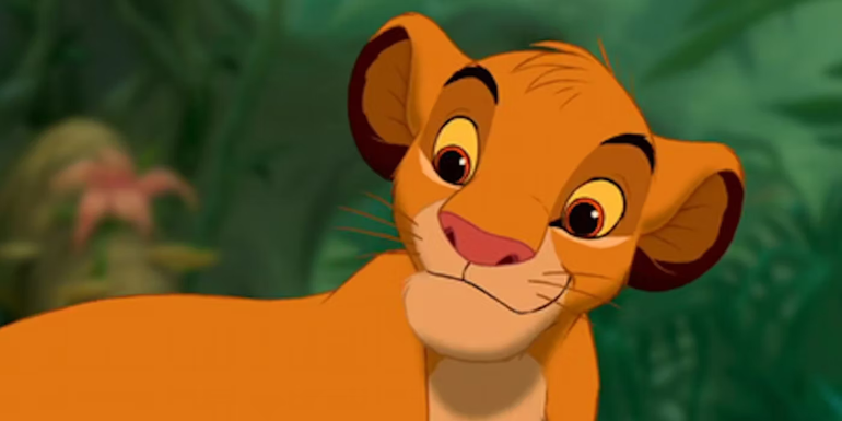 Simba Portrait Showing His Brown Eyes