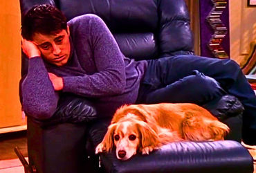 The Intriguing Mystery of David Schwimmer's Role in Joey