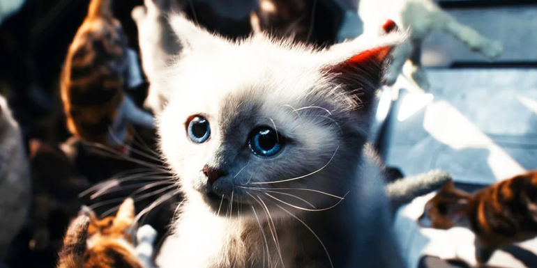 Flerken kittens used as transport in The Marvels