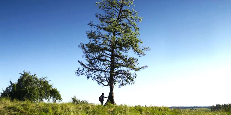 Annabeth by Thalia the pine tree in Percy Jackson and the Olympians episode 3