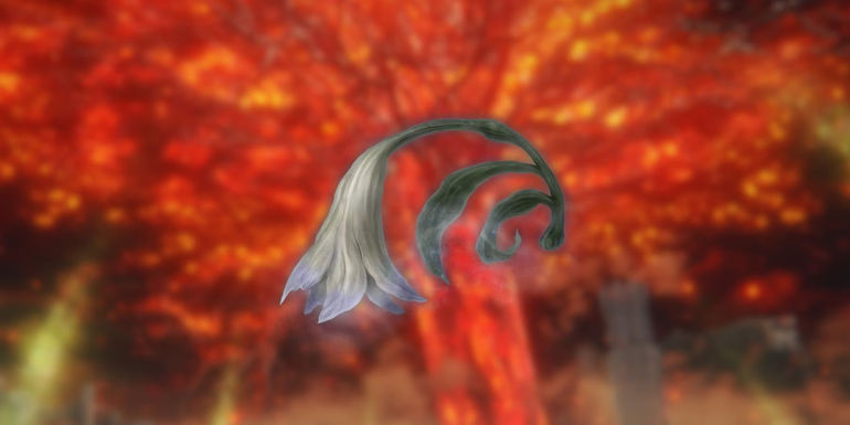 Unveiling the Mysteries of Trina's Lily in Elden Ring