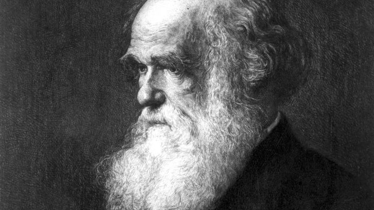 Unlocking the Enigmatic World of Charles Darwin's Virtual Library