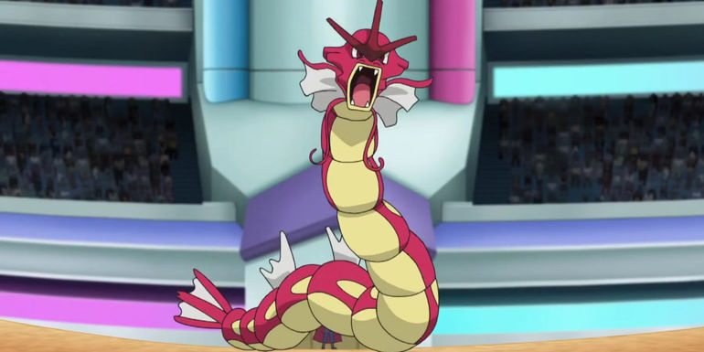 Kỳ Phùng Địch Thủ - Gyarados Trong Lòng Người Hâm Mộ