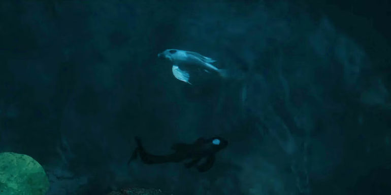 The Koi fish representing the Ocean and Moon Spirits In Netflix's The Last Airbender