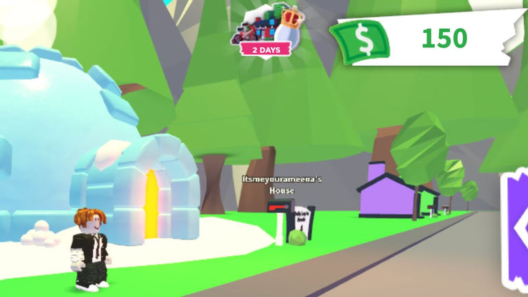 Mastering Wealth in Adopt Me