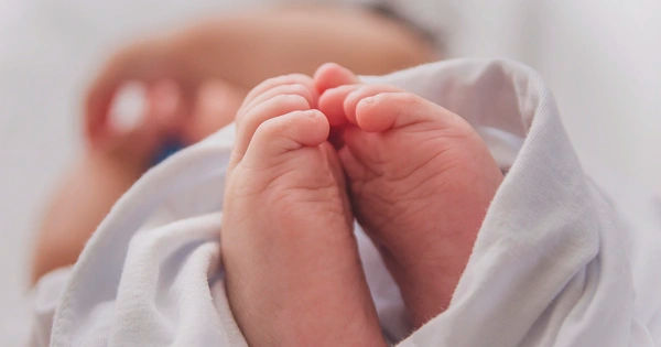 Bí Mật Săn 'Rồng Vàng' - Chiến Thuật Độc Đáo của Các Cặp Đôi