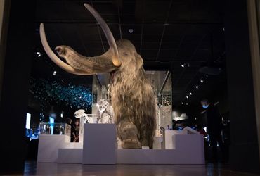 Advancements in Reviving Extinct Megafauna