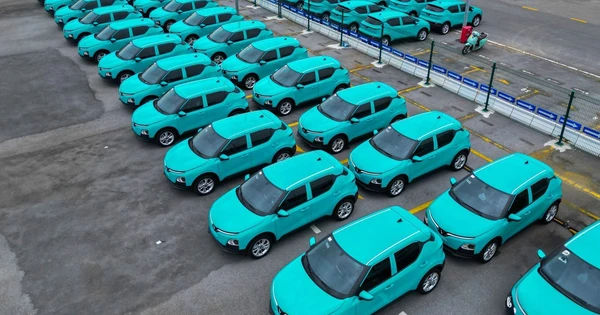 Hành Trình Chinh Phục Thị Trường Quốc Tế Của Startup Việt