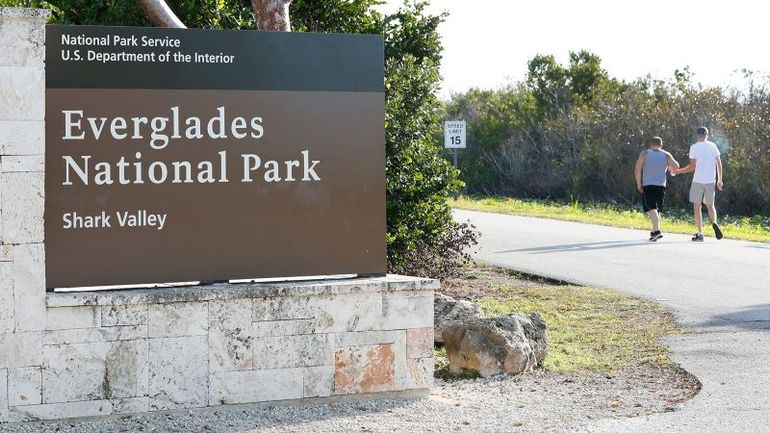Man saved following encounter with crocodile in the Everglades