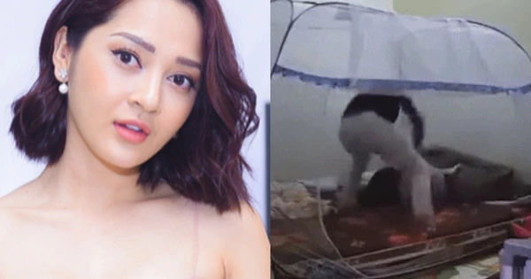 Những Hành Vi Bạo Lực Gia Đình và Hậu Quả Tàn Khốc