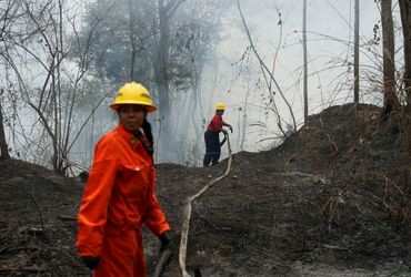 Venezuela's Fight Against Unprecedented Wildfires Amid Amazon Drought