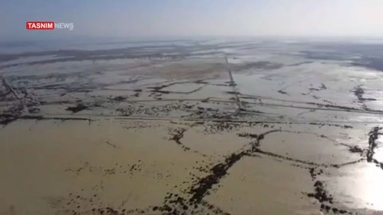 Iranians Advised to Beware of Escaping Crocodiles Amid Severe Flooding in Southeastern Iran