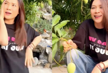 Khu Vườn Bí Mật Của Mỹ Tâm: Hành Trình Tìm Lại Bình Yên