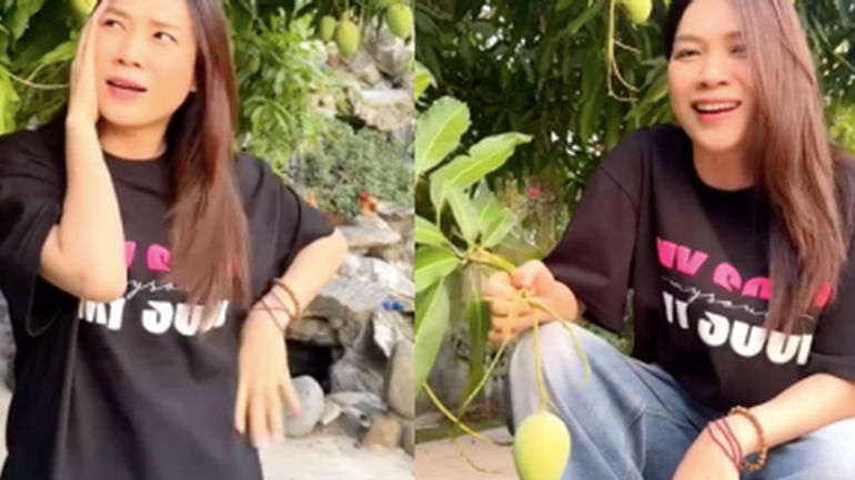 Khu Vườn Bí Mật Của Mỹ Tâm: Hành Trình Tìm Lại Bình Yên