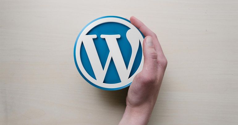 Bí Mật Về Những Loại Lỗ Hổng Trung Bình Trên WordPress