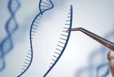 Hành trình tìm kiếm nguồn cội: Bí mật đằng sau xét nghiệm ADN