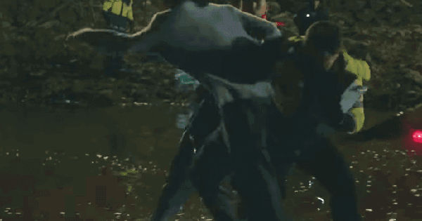 Bộ Phim Tâm Lý Hàn Quốc Gây Sốt: Điểm Mặt Những Bệnh Hiện Đại Độc Đáo