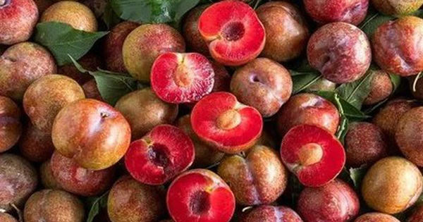 Những Bí Mật Bất Ngờ Về Quả Mận Bạn Chưa Biết