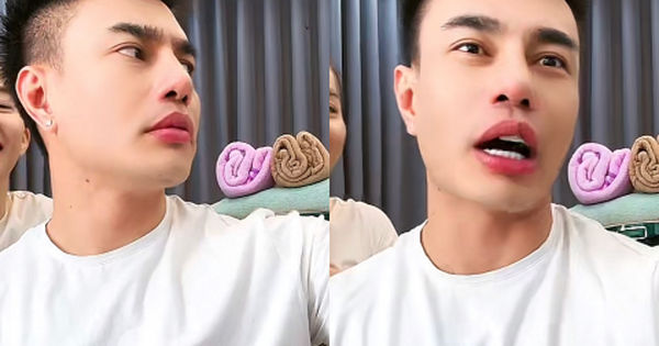 Lê Dương Bảo Lâm: Hành động và Sự Thật Đằng Sau Câu Chuyện