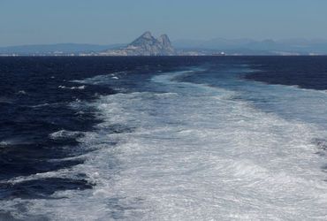 Orcas Attack Sailing Yacht in Moroccan Waters